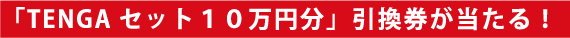 「TENGAセット１０万円分」引換券が当たる！