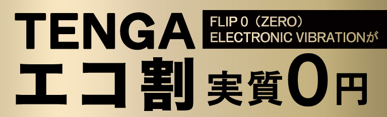 TENGA FLIP 0 (ZERO) ELECTRONIC VIBRATION エコ割実質0円