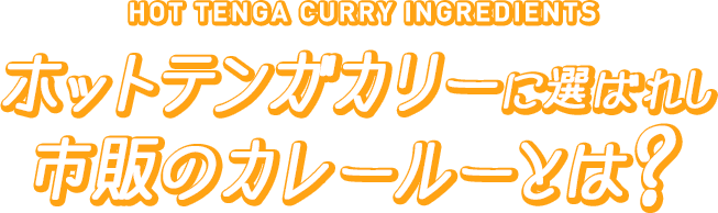HOT TENGA CURRY INGREDIENTS ホットテンガカリーに選ばれし市販のカレールーとは？