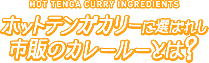 HOT TENGA CURRY INGREDIENTS ホットテンガカリーに選ばれし市販のカレールーとは？