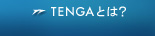 TENGAとは？
