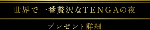 世界で一番贅沢なTENGAの夜 プレゼント詳細
