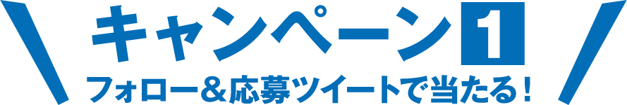 キャンペーン1 フォロー&応募ツイートで当たる!