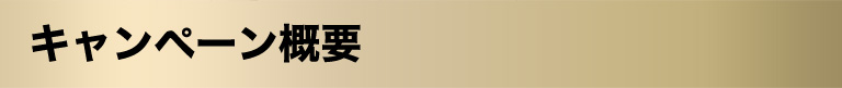 キャンペーン概要
