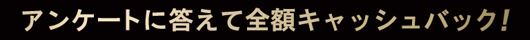 アンケートに答えて全額キャッシュバック!