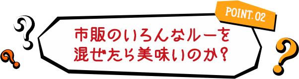 POINT.02 市販のいろんなルーを混ぜたら美味いのか?