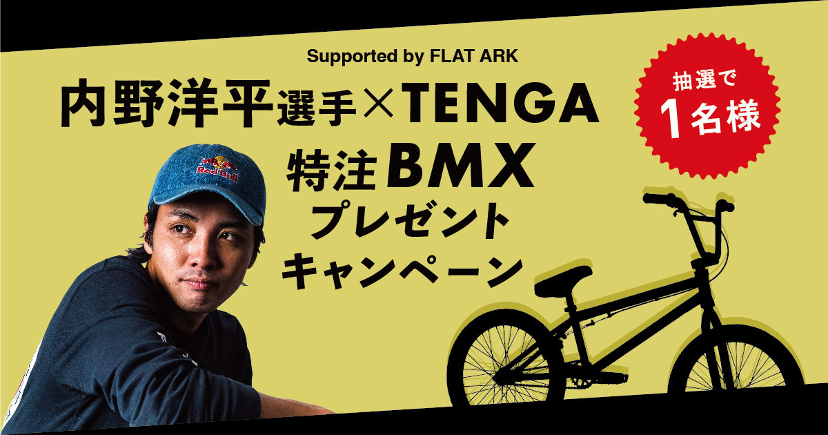 世界に1台特注TENGA BMX ・手渡し 愛知県手渡し】カルトCULT BMX DEVOTION BMX