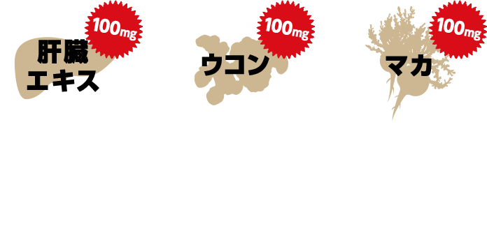 肝臓エキス100mg+ウコン100mg+マカ100mg ガラナ L-シトルリン 黒コショウエキス カフェイン