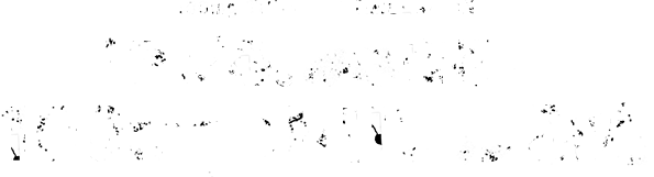 100mg TRIPLE FORMULATION「アガる。みなぎる。」100mgのトリプル配合