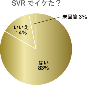 SVRでイケた？